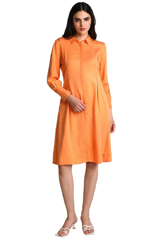 Allen Solly Women's Rayon A-Line Knee-Length Dress (Orange)